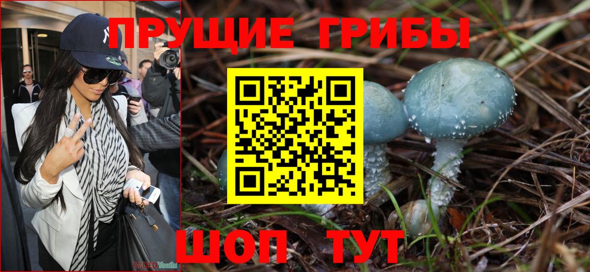 Галлюциногенные грибы ЛСД  Псилоцибиновые грибы Psilocybe  Вход с VPN  Зерноград 